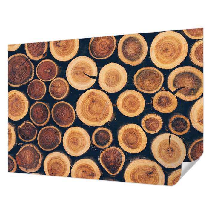 Öntapadós Fotótapéta Falra, Wallfluent, Fa körök, Barna, 208 x 146 cm, Fali Dekoráció, Nedvesség- És Foltálló, 010170060950000074617