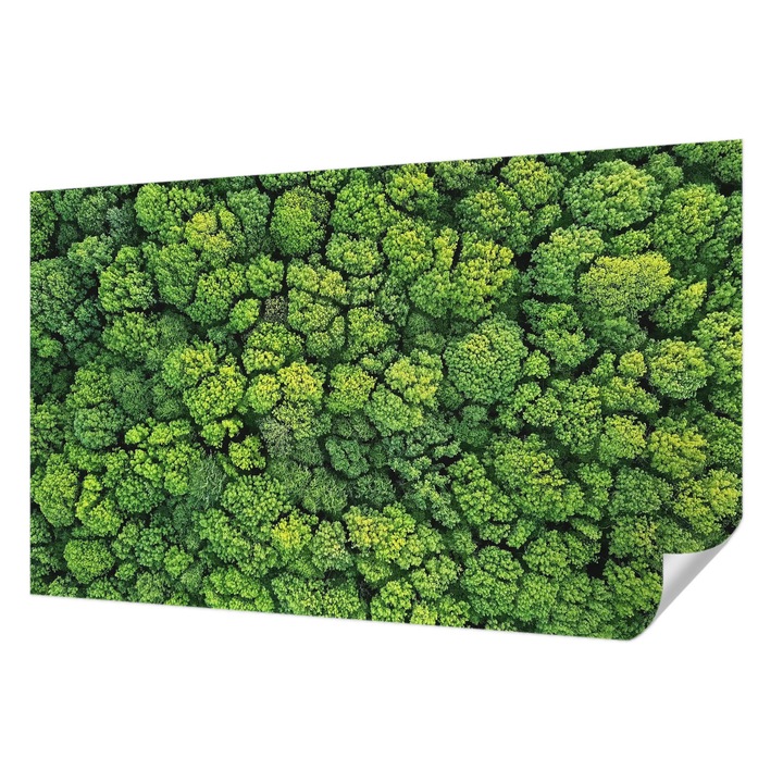 Öntapadós Tapéta Falra, Wallfluent, Erdei panoráma, Zöld, 416 x 254 cm, Dekoráció, Klasszikus, 010170060070000088658