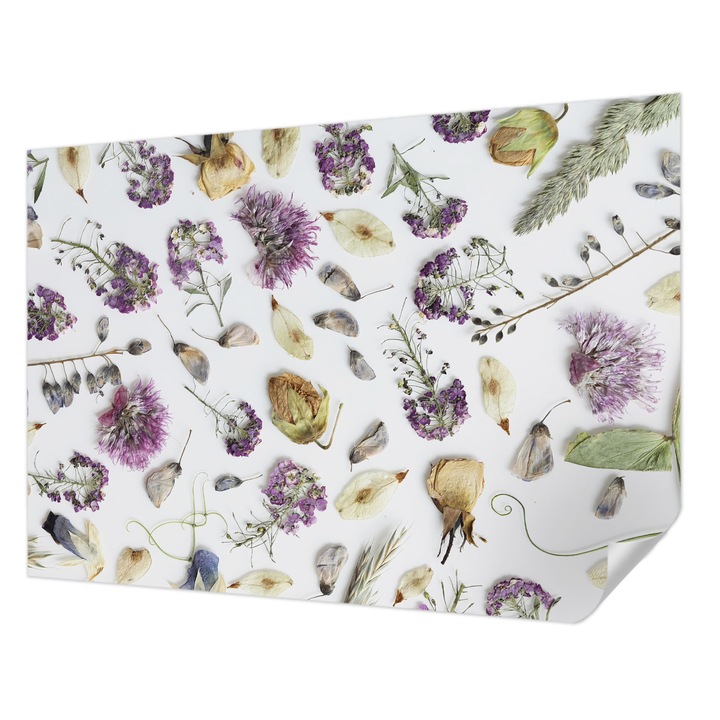 Öntapadós Dekor Tapéta, Wallfluent, Szárított virágok, Fehér, 312 x 219 cm, Előszobába, Hálószobába, 010170060960000282735