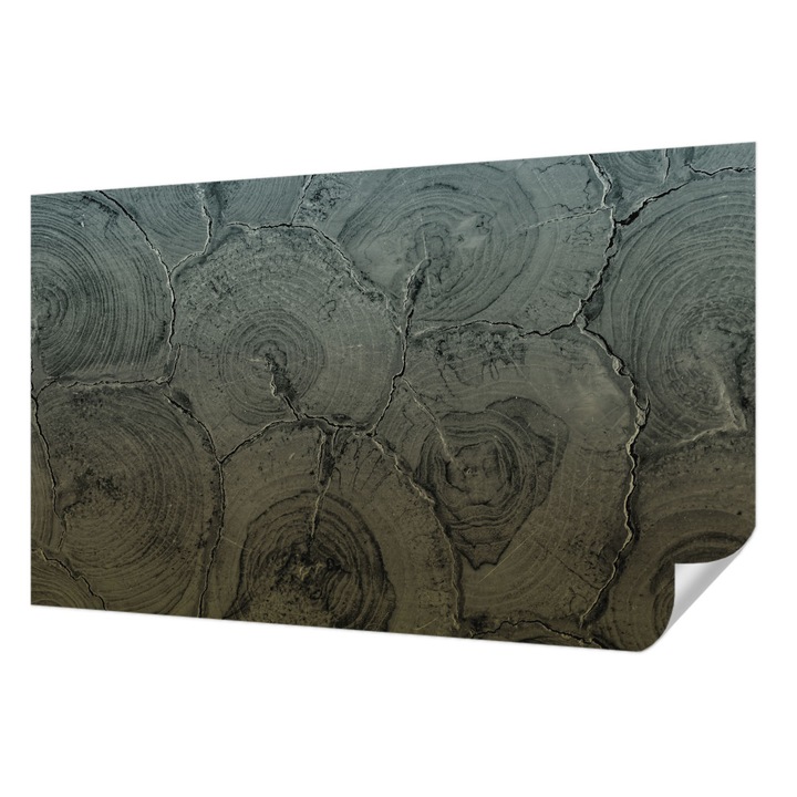 Öntapadós Dekor Tapéta, Wallfluent, Fa gyűrűk, Szürke, 416 x 254 cm, Erős Ragasztó, Modern Belsőépítészeti Dekoráció, 010170060070000282501