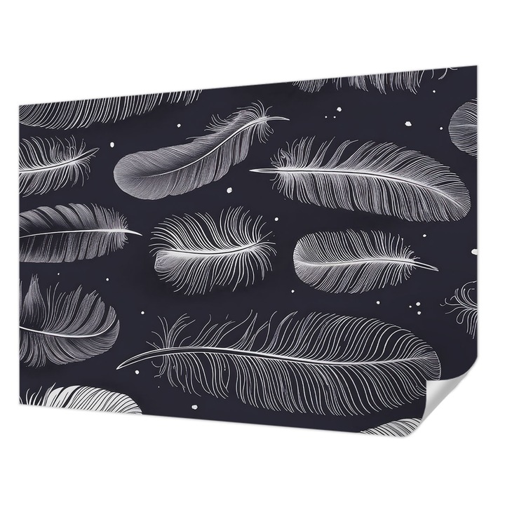 Öntapadós Fotótapéta Falra, Wallfluent, Finom tollak, Fekete és fehér, 208 x 146 cm, Erős Ragasztó, Modern Belsőépítészeti Dekoráció, 010170060950000285126