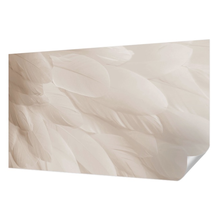 Tapet Textil Autocolant, Wallfluent, Pene eterice, Alb, 416 x 254 cm, Detasabil, Lavabil, 010170060070000282654