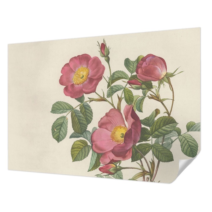 Tapet Textil Autocolant, Wallfluent, Motivul trandafirului, Roz, 208 x 146 cm, Adeziv Puternic, Usor De Montat Si Rezistent, 010170060950000285379