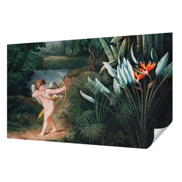 Öntapadós Fotótapéta Falra, Wallfluent, Imádnivaló Ámor, Zöld, 416 x 254 cm, Könnyen Tisztítható, Nedvességálló, 010170060070000282720