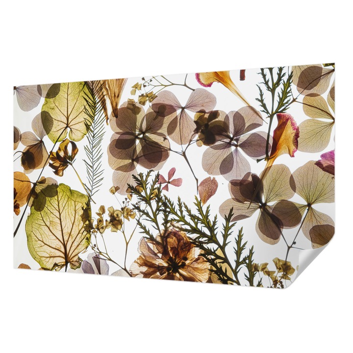 Öntapadós Fotótapéta Falra, Wallfluent, Természetes összetétel, Zöld, 416 x 254 cm, Erős Ragasztó, Modern Belsőépítészeti Dekoráció, 010170060070000282759