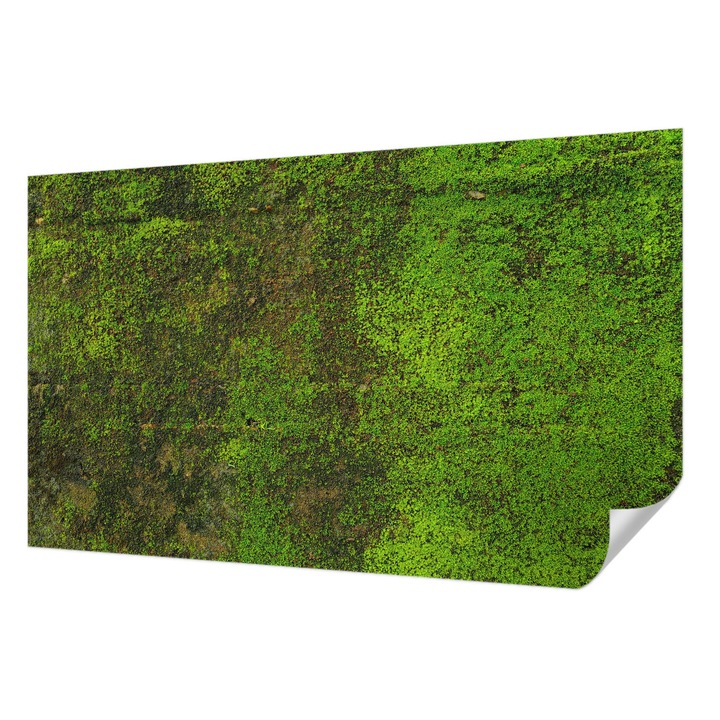 Öntapadós Fotótapéta Falra, Wallfluent, Zöld szőnyeg, Zöld, 416 x 254 cm, Fali Dekoráció, Nedvesség- És Foltálló, 010170060070000282897