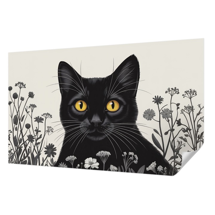 Öntapadós Fotótapéta Falra, Wallfluent, Macskavirágok, Fehér, 416 x 254 cm, Nappaliba, Konyhába, 010170060070000284705