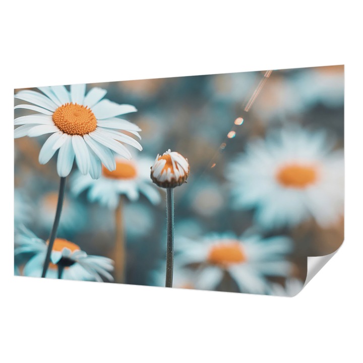 Öntapadós Dekor Tapéta, Wallfluent, Kamilla finomság, Kék, 416 x 254 cm, Nappaliba, Konyhába, 010170060070000284714