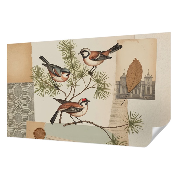 Öntapadós Dekor Tapéta, Wallfluent, Madarak kollázs, Barna, 416 x 254 cm, Erős Ragasztó, Modern Belsőépítészeti Dekoráció, 010170060070000284744