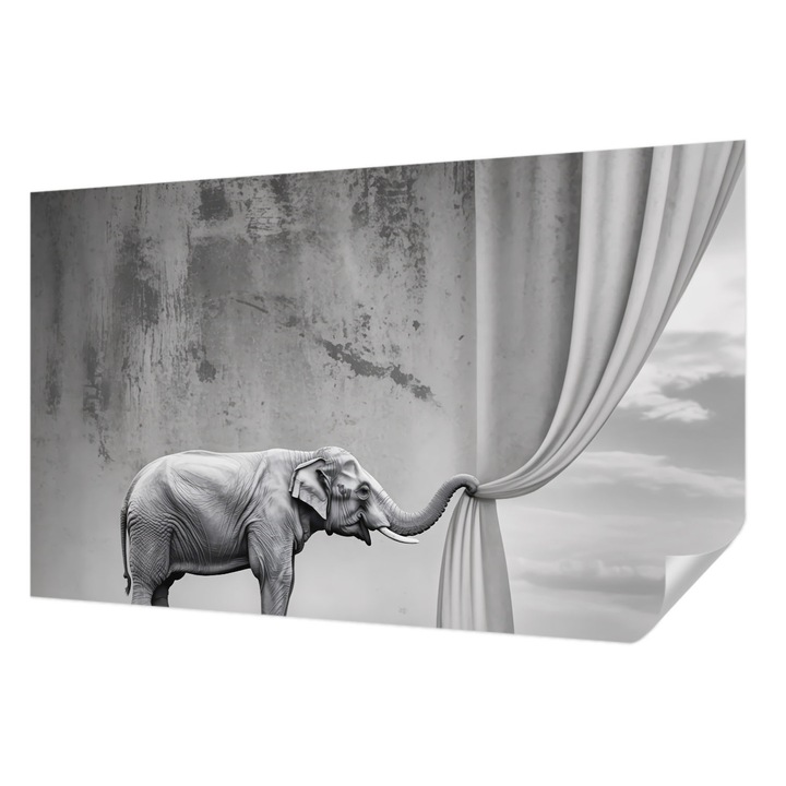 Öntapadós Fotótapéta Falra, Wallfluent, Szürrealista elefánt, Szürke, 416 x 254 cm, Nappaliba, Konyhába, 010170060070000284771