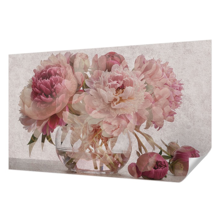 Fali Fotótapéta Autocolant, Wallfluent, Farmec de bujor, Roz, 416 x 254 cm, Pentru Perete, Rezistente La Apa, Umiditate Si Pete, 010170060070000284799