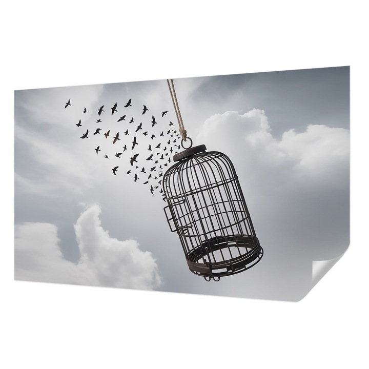 Öntapadós Tapéta Fali Dekoráció, Wallfluent, Repülő madarak, Fehér, 416 x 254 cm, Modern Dizájn, Nedvesség- És Foltálló, 010170060070000284881