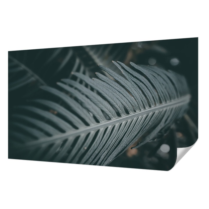 Öntapadós Tapéta Falra, Wallfluent, Zöld levél, Zöld, 416 x 254 cm, Klasszikus, Könnyen Felszerelhető, 010170060070000284893