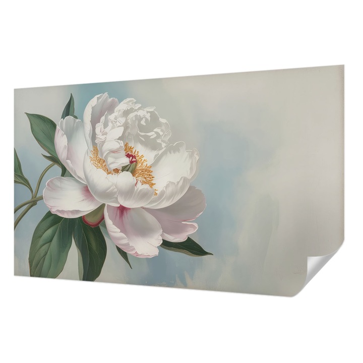 Öntapadós Tapéta Falra, Wallfluent, Gyönyörű bazsarózsa, Fehér, 416 x 254 cm, Klasszikus, Könnyen Felszerelhető, 010170060070000284950