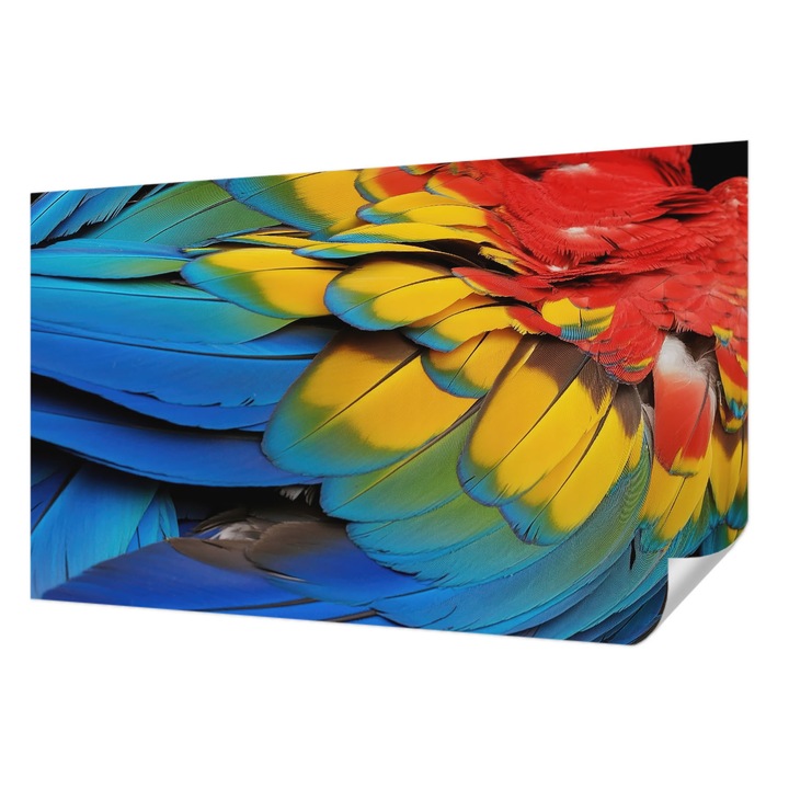 Öntapadós Fotótapéta Falra, Wallfluent, Szivárvány tollak, Kék, 416 x 254 cm, Erős Ragasztó, Modern Belsőépítészeti Dekoráció, 010170060070000284956