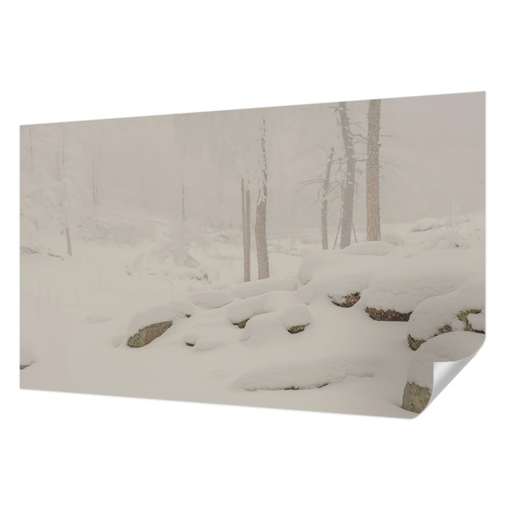 Öntapadós Dekor Tapéta, Wallfluent, Havas erdő, Fehér, 416 x 254 cm, Fali Dekoráció, Nedvesség- És Foltálló, 010170060070000284961