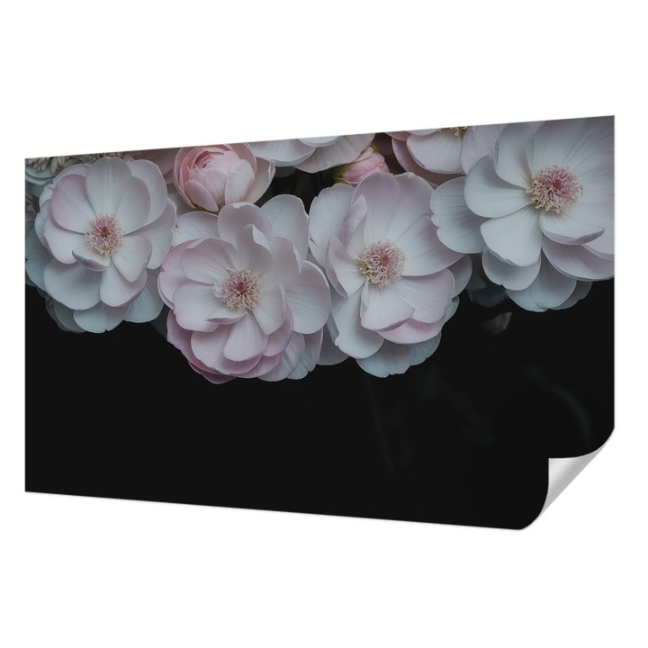 Öntapadós Dekor Tapéta, Wallfluent, Egy finom csokor, Fehér, 416 x 254 cm, Könnyen Tisztítható, Nedvességálló, 010170060070000284965