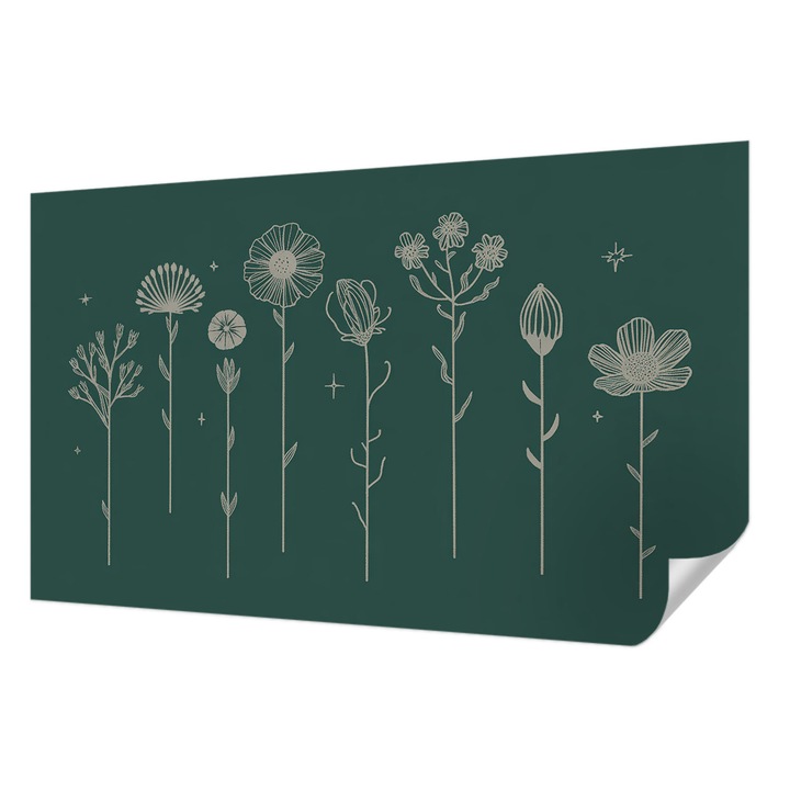 Öntapadós Fotótapéta Falra, Wallfluent, Finom virágok, Zöld, 416 x 254 cm, Fali Dekoráció, Nedvesség- És Foltálló, 010170060070000284987