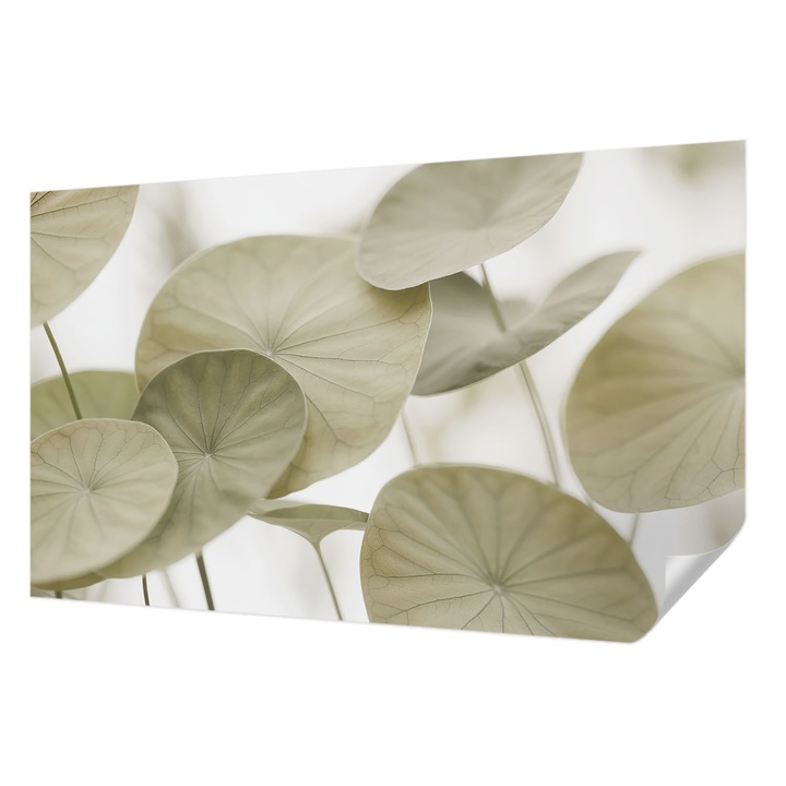 Tapet Autodeziv De Perete, Wallfluent, Eleganta naturala, Bej, 416 x 254 cm, Pentru Baie, Bucatarie, 010170060070000284994