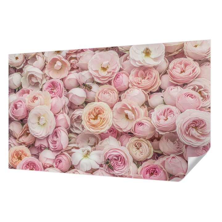 Öntapadós Tapéta Falra, Wallfluent, Gyönyörű virágok, Rózsaszín, 416 x 254 cm, Fali Dekoráció, Nedvesség- És Foltálló, 010170060070000285010