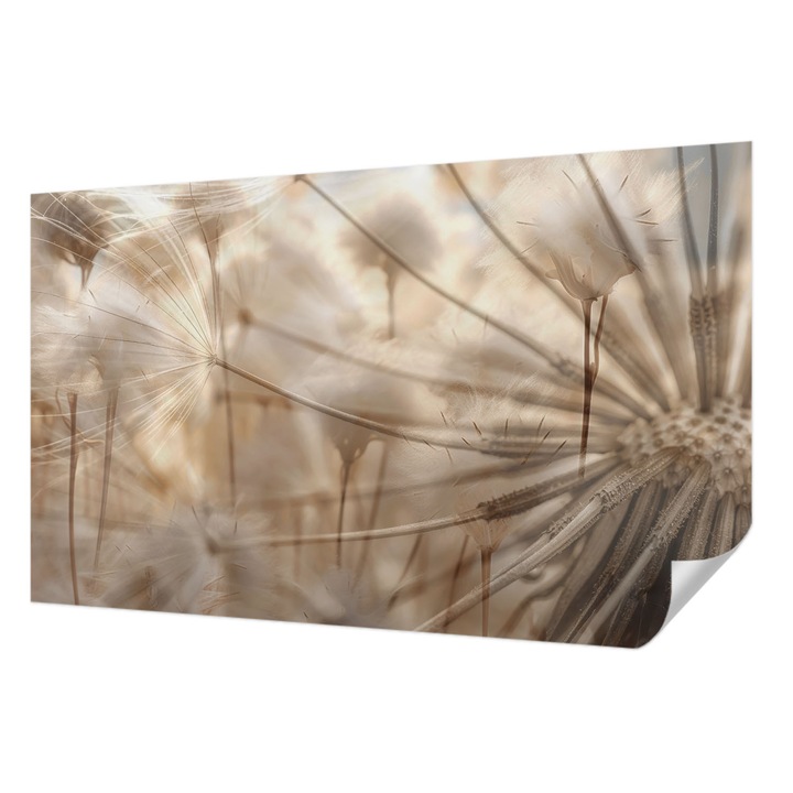 Öntapadós Tapéta Falra, Wallfluent, Finom pitypangok, Bézs, 416 x 254 cm, Erős Ragasztó, Modern Belsőépítészeti Dekoráció, 010170060070000285118