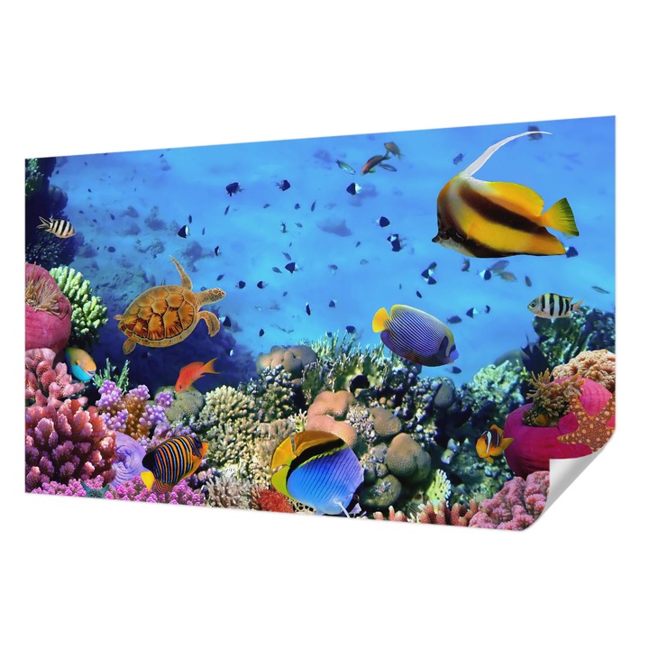 Öntapadós Tapéta Falra, Wallfluent, Korallzátony, Kék, 416 x 254 cm, Fali Dekoráció, Nedvesség- És Foltálló, 010170060070000000807