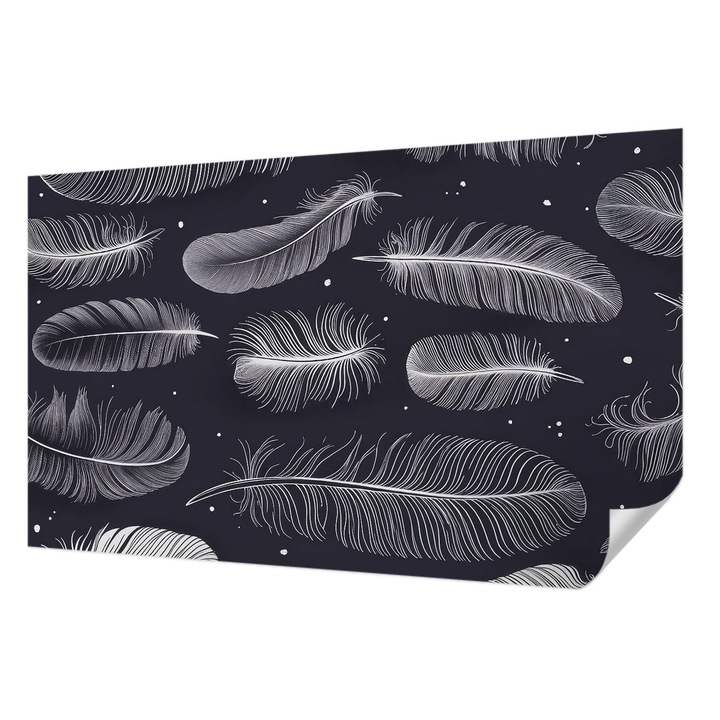 Öntapadós Fotótapéta Falra, Wallfluent, Finom tollak, Fekete és fehér, 416 x 254 cm, Erős Ragasztó, Modern Belsőépítészeti Dekoráció, 010170060070000285126