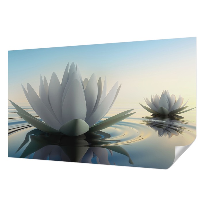 Öntapadós Tapéta Fali Dekoráció, Wallfluent, Tavirózsák, Fehér, 416 x 254 cm, Klasszikus, Könnyen Felszerelhető, 010170060070000001825