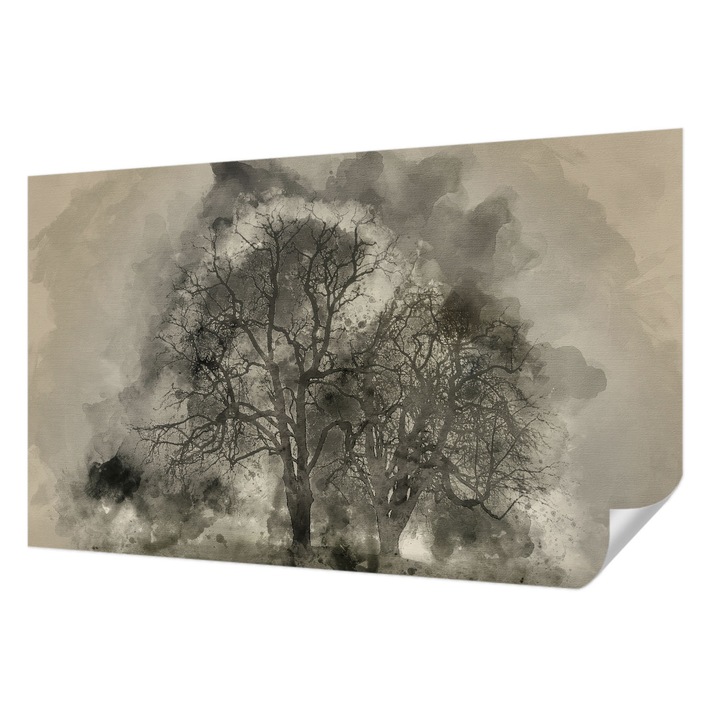 Öntapadós Dekor Tapéta, Wallfluent, Titokzatos fák, Fekete, 416 x 254 cm, Fali Dekoráció, Nedvesség- És Foltálló, 010170060070000285230