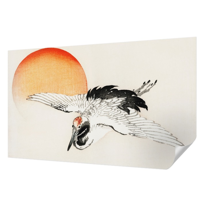 Tapet Autocolant De Perete, Wallfluent, Macara eleganta, Alb, 416 x 254 cm, Detasabil, Lavabil, 010170060070000017938