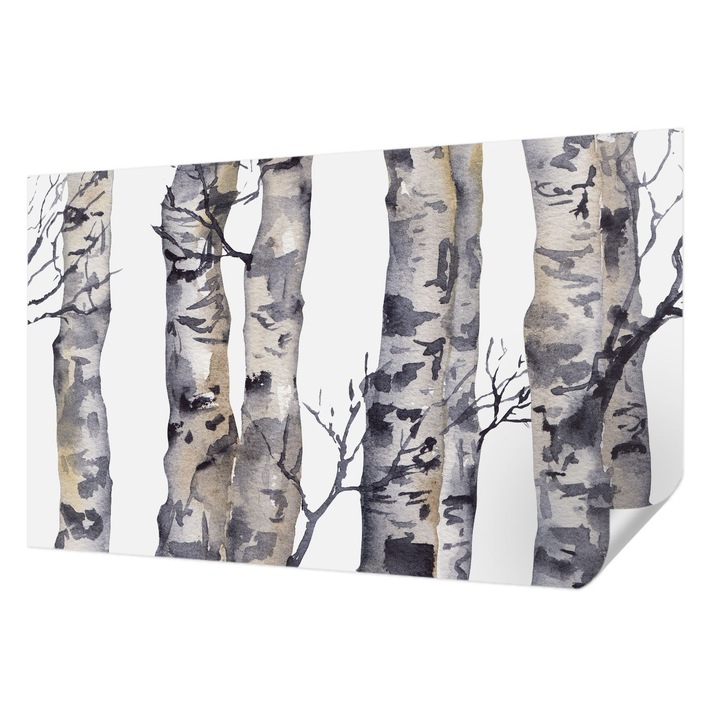 Öntapadós Tapéta Fali Dekoráció, Wallfluent, nyárfaerdő, Szürke, 416 x 254 cm, Előszobába, Hálószobába, 010170060070000285261