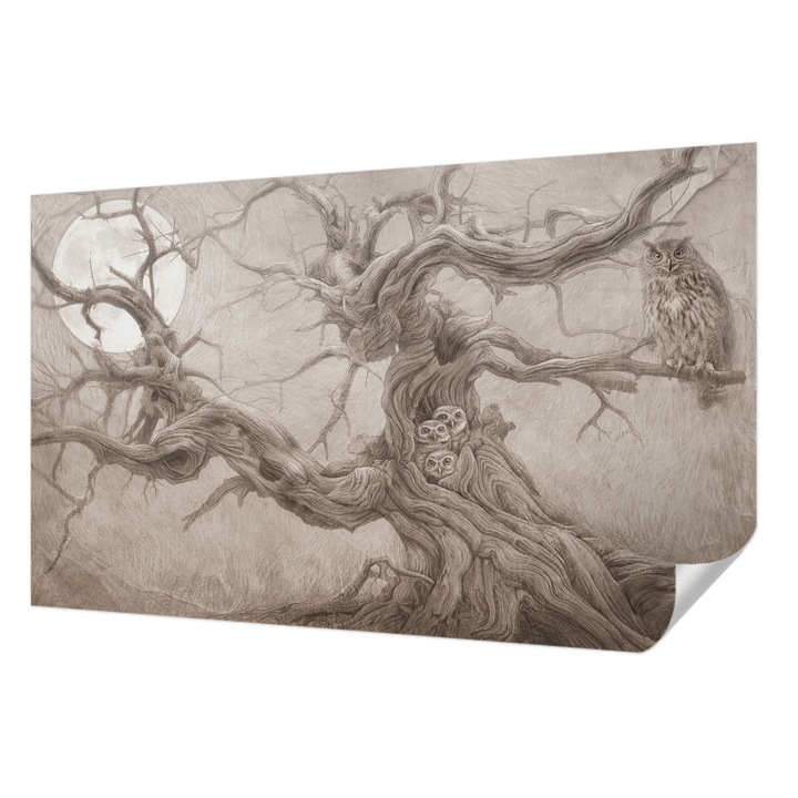 Öntapadós Fotótapéta Falra, Wallfluent, Éjszakai madarak, Bézs, 416 x 254 cm, Modern Dizájn, Könnyen Felszerelhető És Tisztítható, 010170060070000285274