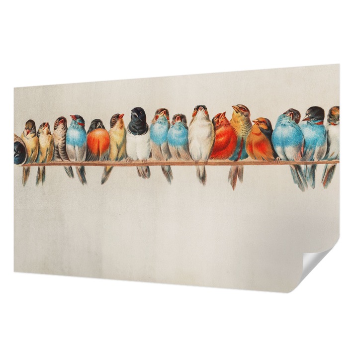 Tapet Autocolant De Perete, Wallfluent, Pasari pe o ramura, Albastru, 416 x 254 cm, Pentru Living, Birou, Hol, 010170060070000285292