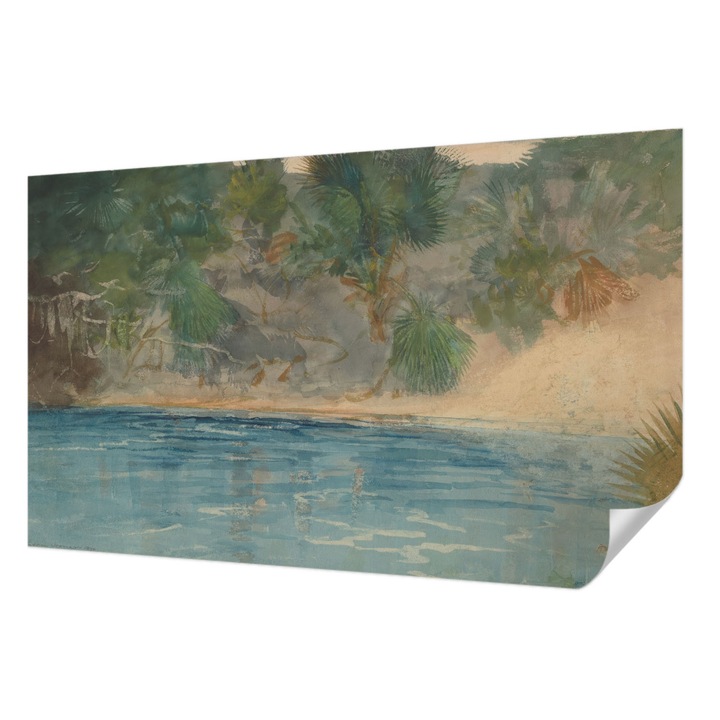 Öntapadós Dekor Tapéta, Wallfluent, Trópusi part, Zöld, 416 x 254 cm, Előszobába, Hálószobába, 010170060070000285288