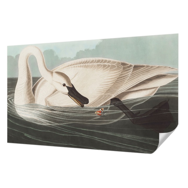 Öntapadós Tapéta Falra, Wallfluent, A természet harmóniája, Fehér, 416 x 254 cm, Könnyen Tisztítható, Nedvességálló, 010170060070000285296