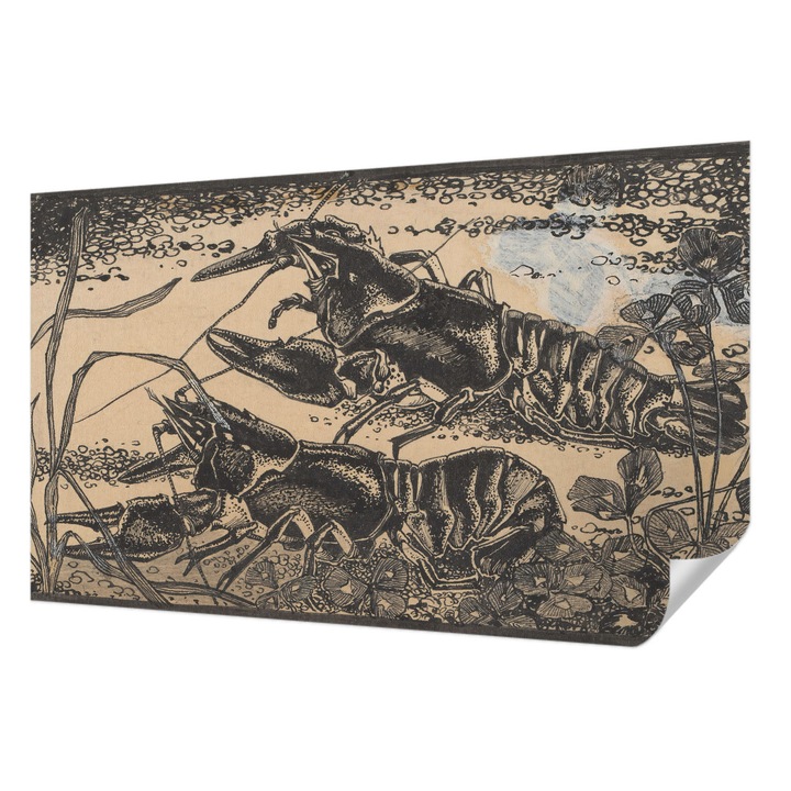 Tapet Textil Autocolant, Wallfluent, Raci de apa, Negru, 416 x 254 cm, Pentru Living, Birou, Hol, 010170060070000285302