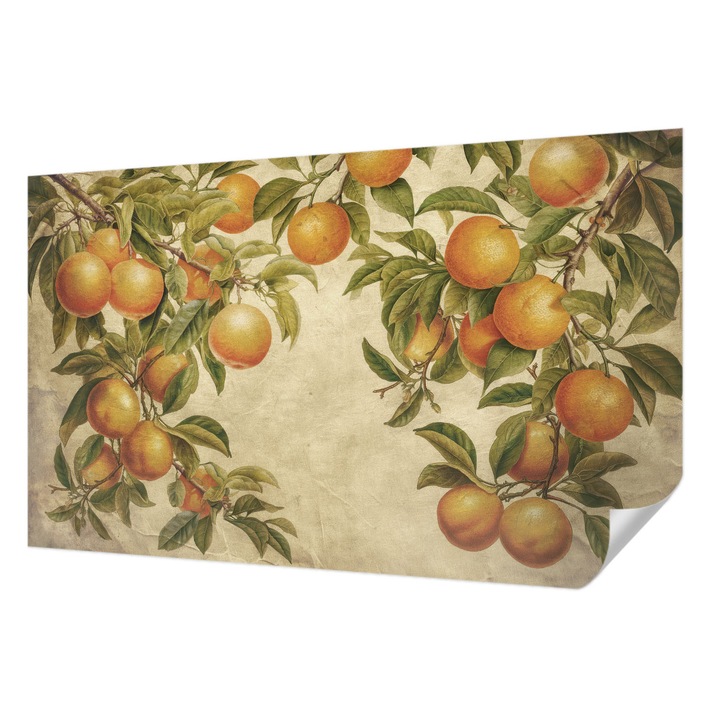 Öntapadós Fotótapéta Falra, Wallfluent, Gyümölcságak, Zöld, 416 x 254 cm, Nappaliba, Konyhába, 010170060070000285311