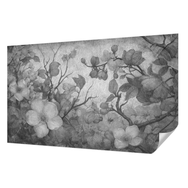 Öntapadós Fotótapéta Falra, Wallfluent, Virágág, Fekete és fehér, 416 x 254 cm, Előszobába, Hálószobába, 010170060070000285312