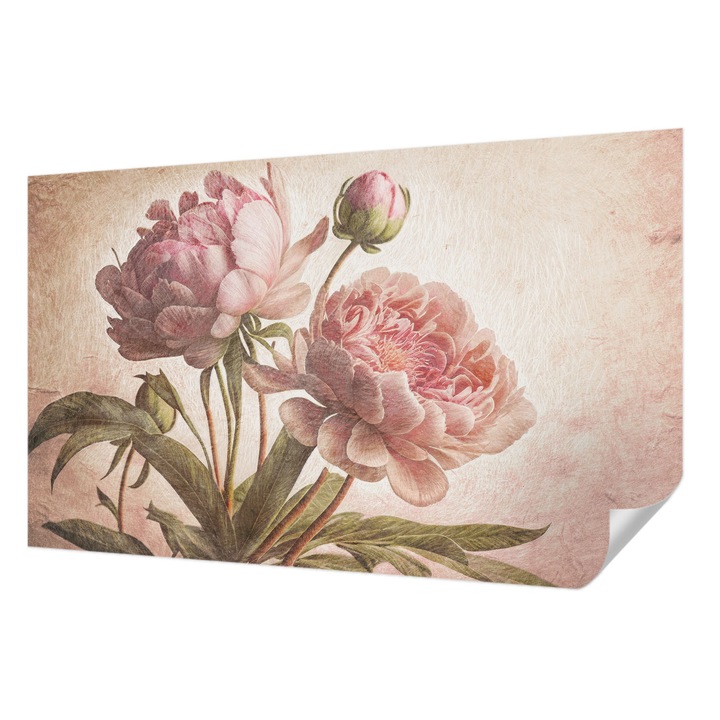 Öntapadós Fotótapéta Falra, Wallfluent, Finom pünkösdi rózsák, Rózsaszín, 416 x 254 cm, Klasszikus, Könnyen Felszerelhető, 010170060070000285343