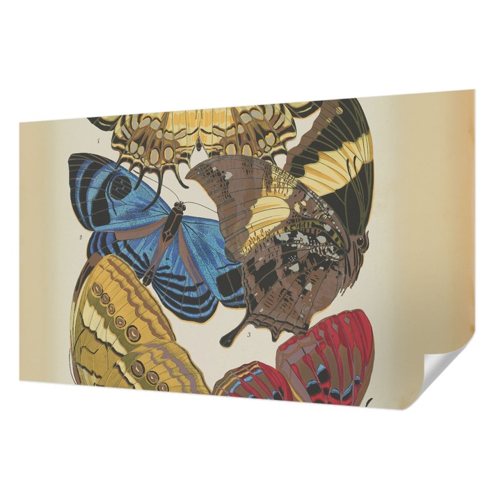 Öntapadós Fotótapéta Falra, Wallfluent, Pillangók inspirációja, Fekete, 416 x 254 cm, Modern Dizájn, Könnyen Felszerelhető És Tisztítható, 010170060070000285372