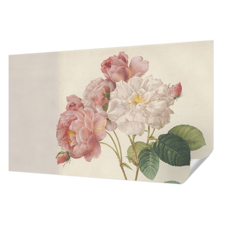 Öntapadós Dekor Tapéta, Wallfluent, Romantikus rózsák, Rózsaszín, 416 x 254 cm, Modern Dizájn, Könnyen Felszerelhető És Tisztítható, 010170060070000285380