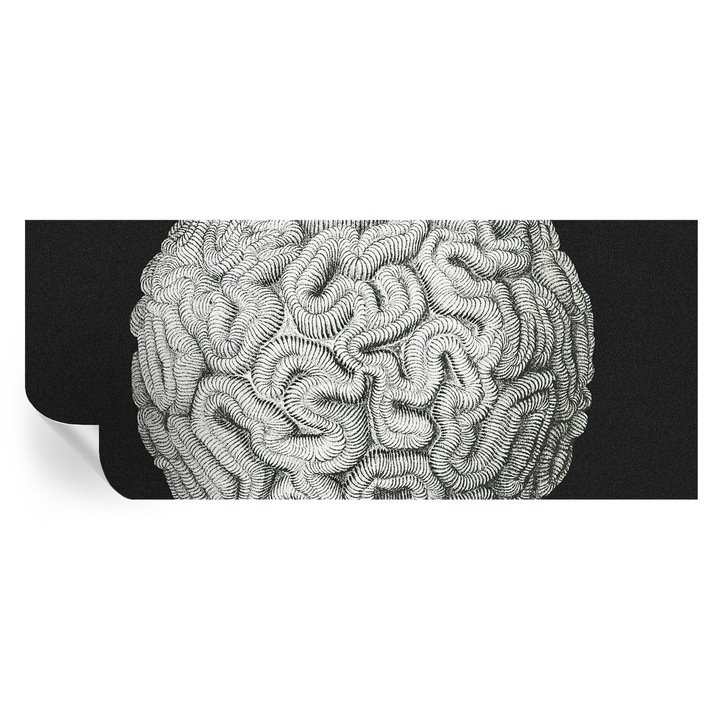 Tapet Autocolant De Perete, Tulup, Structura sferica, Negru, 250 x 104 cm, Decorativ, Rezistente La Apa, Umiditate Si Pete, 010170060020000285492