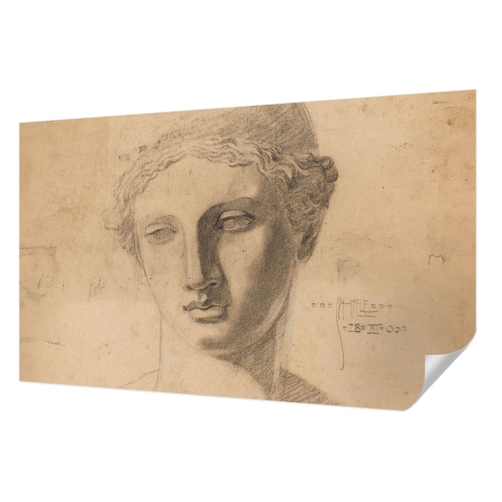 Fali Fotótapéta Autocolant, Wallfluent, Portret feminin, Bej, 416 x 254 cm, Pentru Living, Birou, Hol, 010170060070000285401