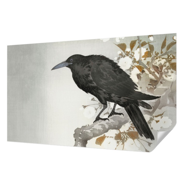 Fali Fotótapéta Autodeziv, Wallfluent, Corbul in flori, Negru, 416 x 254 cm, Decorativ, Usor De Instalat, 010170060070000285425