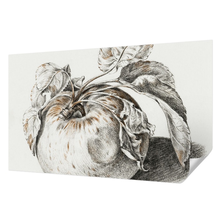 Fali Fotótapéta Autodeziv, Wallfluent, Frunze de mar, Gri, 416 x 254 cm, Pentru Living, Birou, Hol, 010170060070000285422