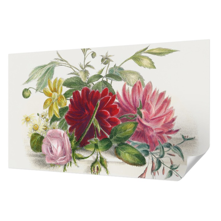 Öntapadós Fotótapéta Falra, Wallfluent, Virágcsokor, Zöld, 416 x 254 cm, Modern Dizájn, Könnyen Felszerelhető És Tisztítható, 010170060070000285428