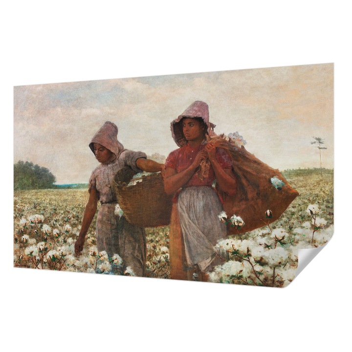 Öntapadós Tapéta Falra, Wallfluent, Terepi munka, Fehér, 416 x 254 cm, Előszobába, Hálószobába, 010170060070000285457