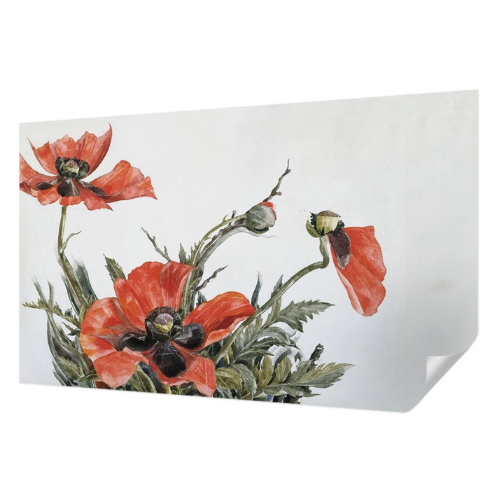 Öntapadós Fotótapéta Falra, Wallfluent, Piros pipacsok, Piros, 416 x 254 cm, Előszobába, Hálószobába, 010170060070000285465