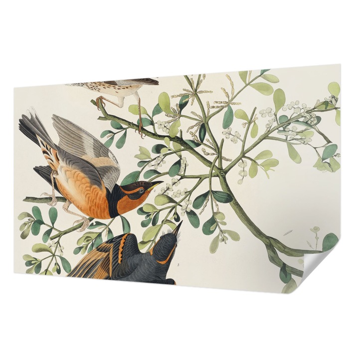 Öntapadós Tapéta Fali Dekoráció, Wallfluent, Színes madarak, Fehér, 416 x 254 cm, Modern Dizájn, Nedvesség- És Foltálló, 010170060070000285475