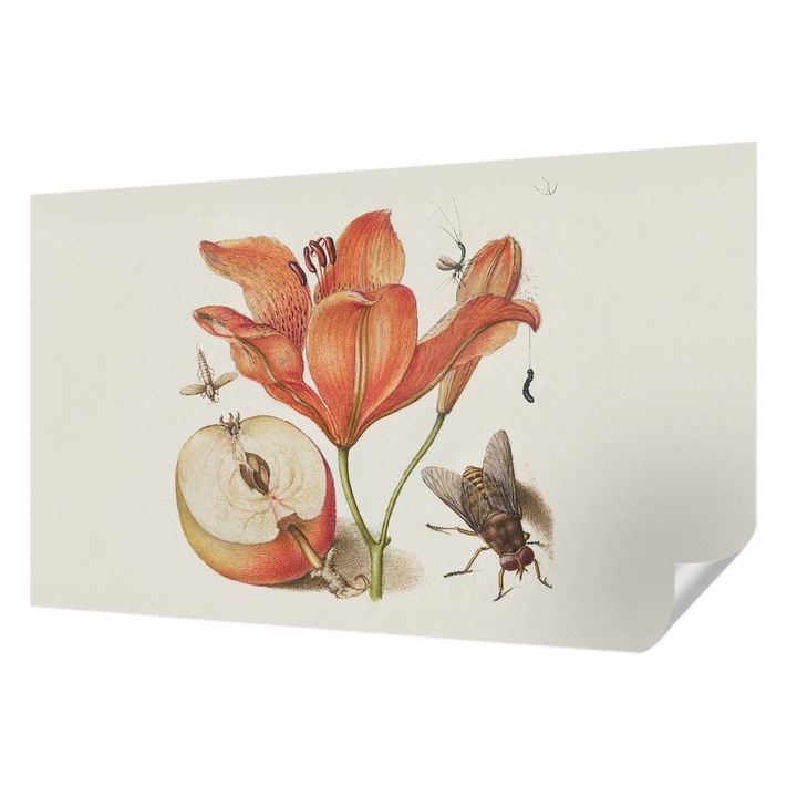 Öntapadós Tapéta Falra, Wallfluent, Botanikai illusztráció, Krémszín, 416 x 254 cm, Könnyen Tisztítható, Nedvességálló, 010170060070000285481